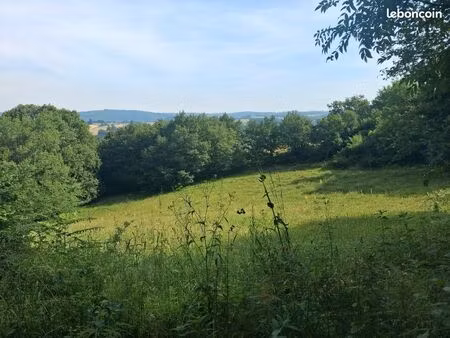 terrain 8300 m2 zone constructible  non viabilisé