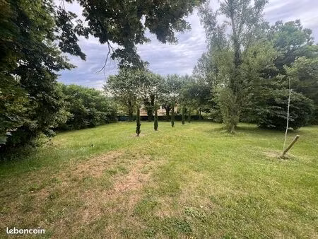 terrain charly 985 m²
