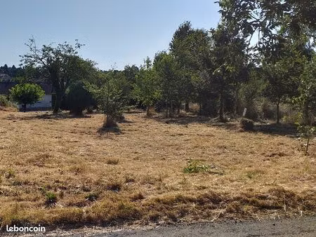 terrain constructible