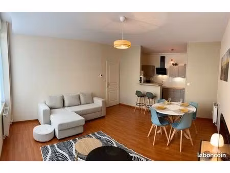 appartement meublé rénové hyper centre