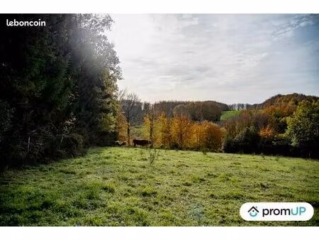 terrain agricole 30 568 m² rouairoux