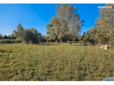 terrain agricole 7000m2