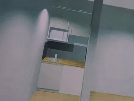 appartement hypercentre