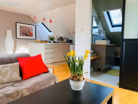 studio lumineux et cosy
