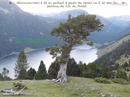 chalet au prix d un appartement saint-lary-soulan superbe vue sur les montagnes entouré de