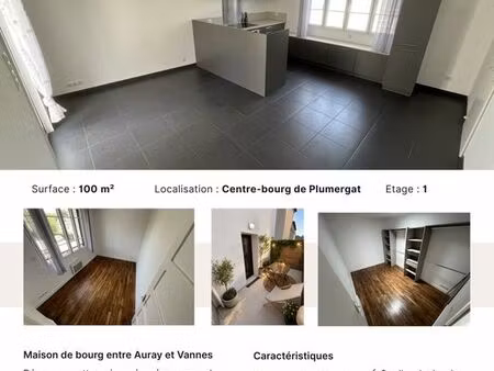 maison rénovée 4 chambres au cœur de plumergat
