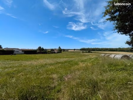 terrain 555 m² pizay