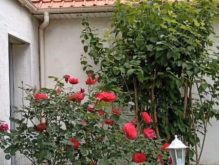 loue maison individuelle