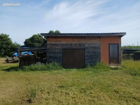 exploitation maraîchère