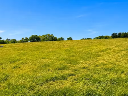 vente terrain 3500 m² à léguillac-de-l'auche (24110)  39 000 €
