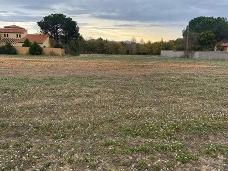 terrain constructible