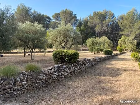 oliveraie terrain de loisirs le beausset var terrain agricole