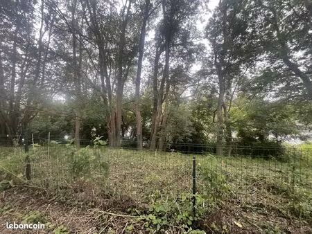 terrain 1100 m² valdivienne