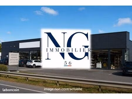 local 530 m² vannes