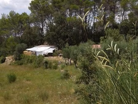 terrain 6ha entrecasteaux