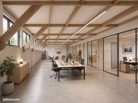 bureaux lumineux à louer