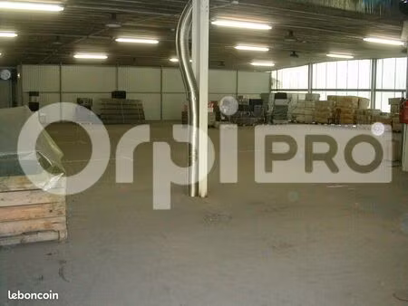 local d'activité 500 m²
