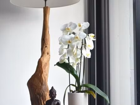 local 35 m² saint-avé