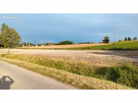 terrain 2000m2