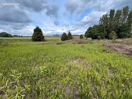 terrain 2966 m² caumont