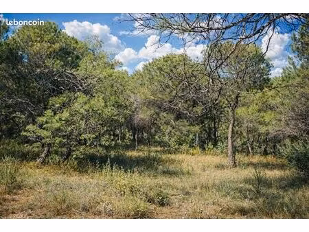 terrain 946 m² salernes