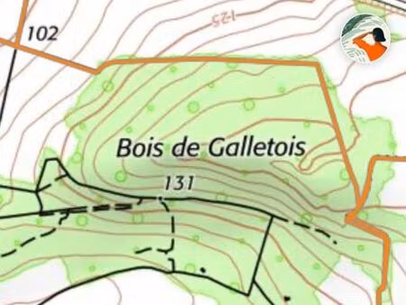 rare terrain boisé