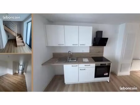t3 duplex neuf rénové 58 m2 dont 42 m2 loi carrez - très lumineux