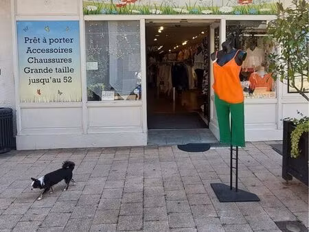 boutique de prêt-à-porter féminin