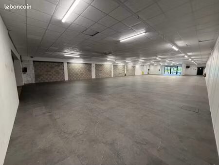 local commercial 550 m² castres