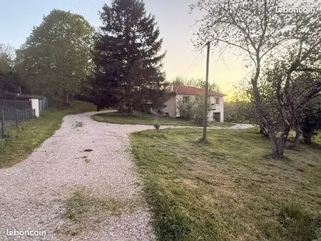 maison avec jardin