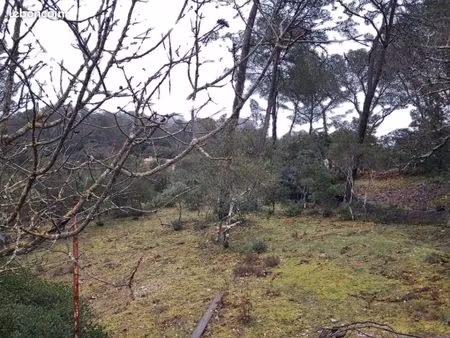 terrain 1 000 m² gareoult