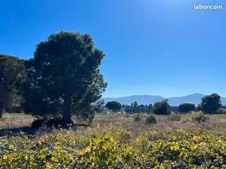 terrain 323 m² latour bas elne