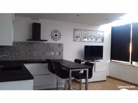 loft 55m2 loire sur rhone 69700