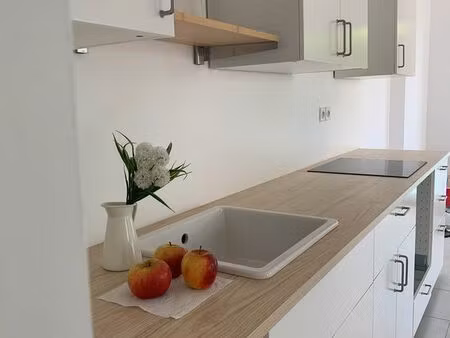 appartement 3 pièces 65 m² + garage