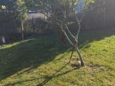 cherche maison a louer avec cour et garage où bâtiment