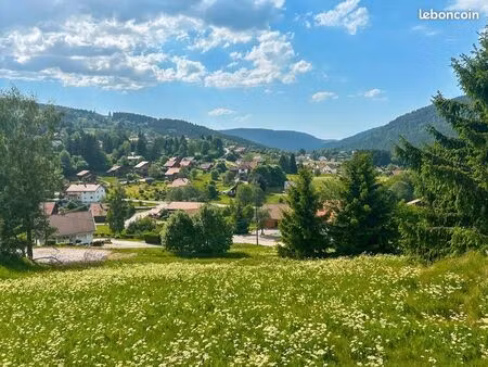 terrain 1 018 m² xonrupt longemer