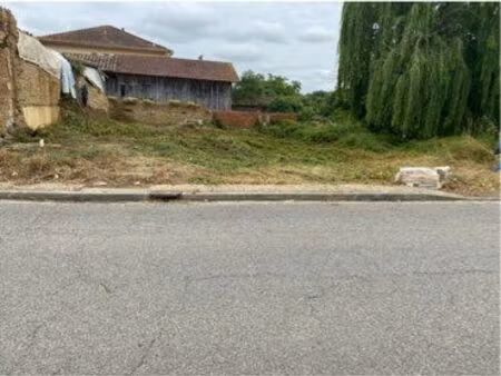terrain constructible
