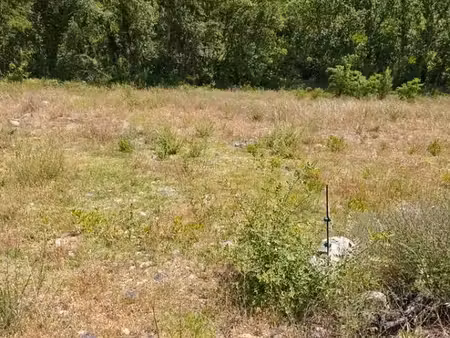 grand terrain agricole / loisirs 500 m² - bord de rivière (agly)