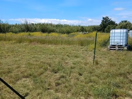 terrain potager a louer/ parcelle agricole