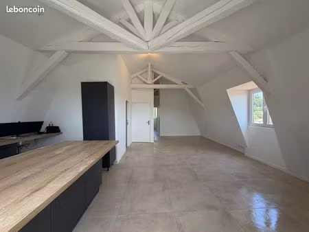 appartement 3 pièces – volumes exceptionnels et cachet unique