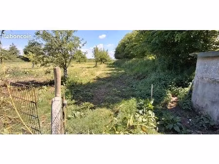 herbage mouton 3000m²