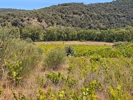 grand terrain naturel 1 000 m² en bord de rivière (agly)