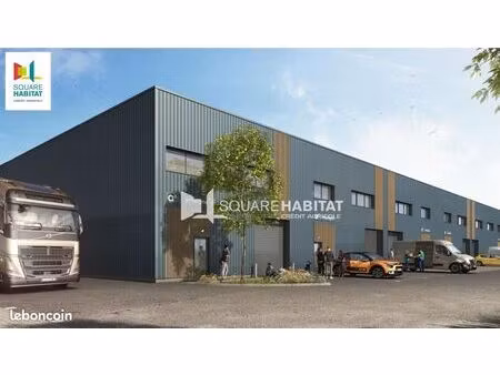 local d'activité 292 m²
