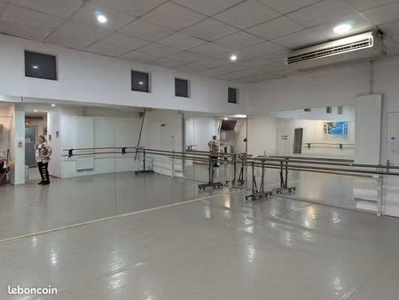 local commercial ou professionnel 69003-69100