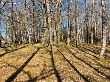 terrain 2 300 m² ambazac