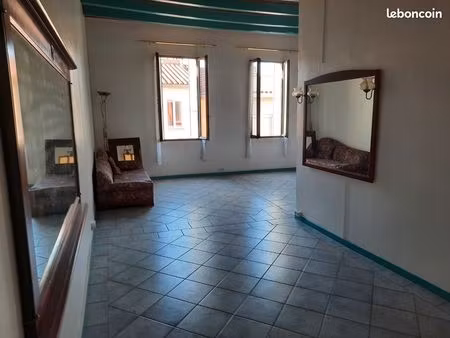 grand appartement lumineux avec terrasse et dépendances