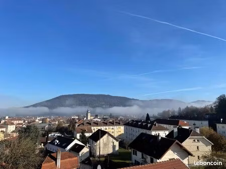 studio 28 m² superbe vue remiremont