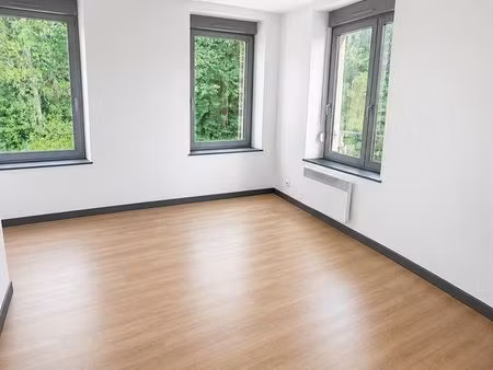 loue appartement t2 saint die
