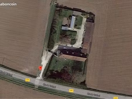 élevage canin/ pension canine