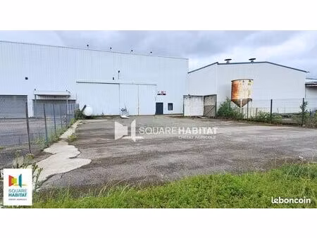local d'activité 440 m²